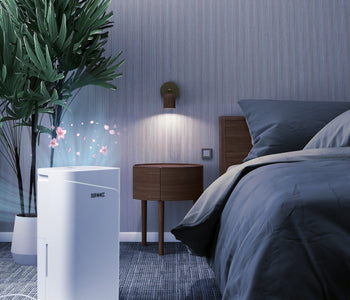 Beat the Heat This Summer: How Dehumidifiers Can Transform Your Home