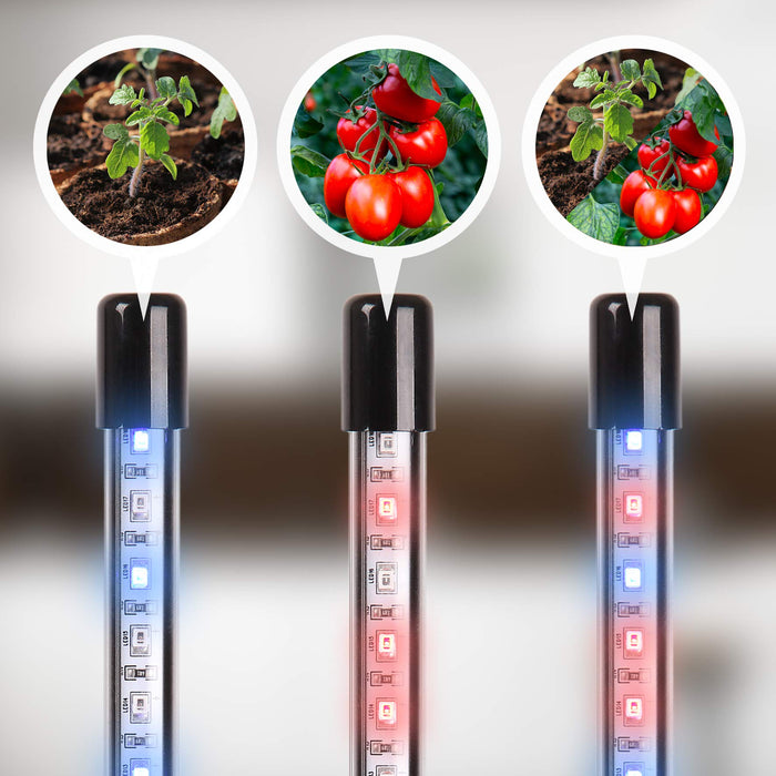 Duronic Grow Light GLC24 | Double Clip-On Lamp for Indoor Plants | Full Spectrum 36x Red & Blue LED Bulbs | 3 Colour Modes | 2 Heads with Adjustable Goosenecks | 40W | Dimmable 6x Brightness Levels