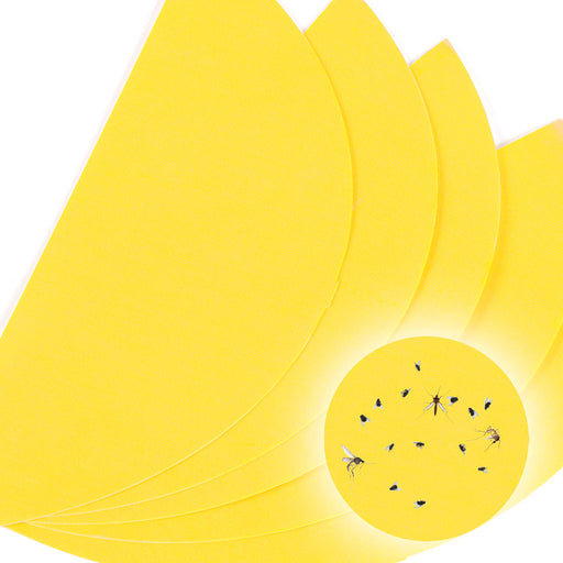 Duronic Glue Board Pack FKWS5 | for Fly Killer Light FKWS18 | Pack of 5 | Replacement Adhesive Pads for UV Wall Sconce | Kills Mosquitoes & Flying Insects | Sticky Glue Traps | Indoor Pest Control