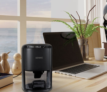 Mini Dehumidifier vs Full Size Dehumidifier: Which One Do You Need?