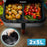 Duronic Large Drawer AFD1 BG Large Drawer ONLY, 10L Drawer Specifically for The Duronic AF24 Air Fryer, One Big Sync Cook Cooking Tray for Dual Zone Air Fryer Black Gold