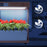 Duronic Hydroponic Growing System with a bamboo frame and LED grow lights successfully growing vibrant red chili peppers.