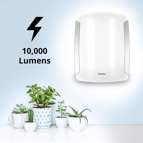 Duronic Sad Light emitting 10,000 lumens on wall above small potted green plants.
