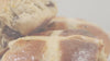 Duronic HM4 SR electric hand mixer mixing ingredients for homemade hot cross buns