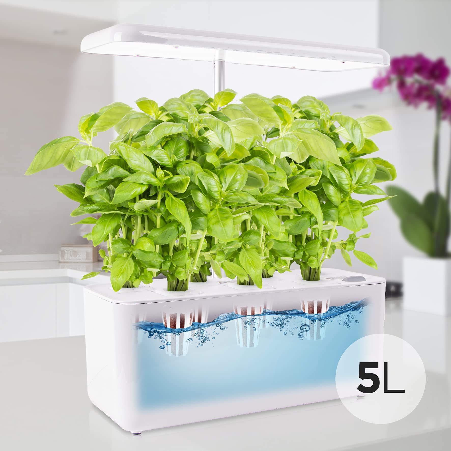 Duronic Hydroponic Growing System GHS37 | Indoor Garden Box with Grow Lamp for 7 Plants or Herbs |70x LED Spectrum Bulbs: White, Red & Blue| 3 Light/Growth Modes | Smart Germination Kit | 25W