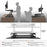 Duronic Sit-Stand Desk DM05D3 | Height Adjustable Office Workstation | 73x59cm Platform | Raises from 15-50cm | Riser for PC Computer Screen, Keyboard, Laptop | Ergonomic Desktop Table Converter