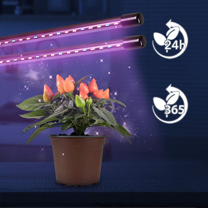 Duronic Grow Light GLC24 | Double Clip-On Lamp for Indoor Plants | Full Spectrum 36x Red & Blue LED Bulbs | 3 Colour Modes | 2 Heads with Adjustable Goosenecks | 40W | Dimmable 6x Brightness Levels