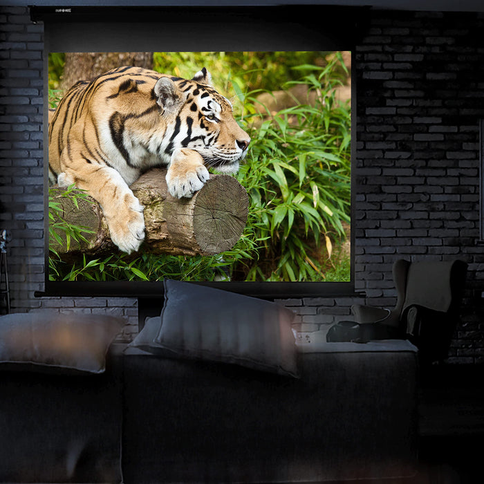 Duronic 80" Projector Screen MPS80 /43 BK, BLACK Pull-Down Projector Screen, Screen Size: 163x122cm / 64x48”, 4:3 Ratio, Matt White +1 Gain, HD High Definition, Home Cinema School Office