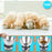 Duronic Digital Kitchen Scale with stainless bowl, kibble, and golden retriever puppies eating.