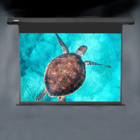Duronic Electric XXL Projector displaying a vibrant sea turtle swimming in clear turquoise ocean water.