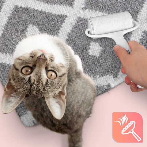 Duronic Lint Roller removing cat hair from a grey patterned rug near a tabby cat.