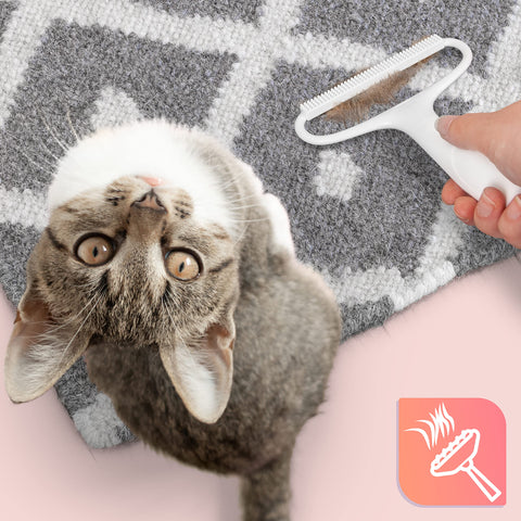 Duronic Lint Shaver removing cat fur from a gray patterned rug next to a cat.
