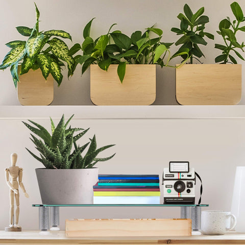 Duronic Monitor Stand Riser displaying a potted succulent, a stack of books, and a vintage camera.