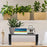 Duronic Monitor Stand Riser on shelf holding notebooks, vintage camera, and aloe vera potted plant.