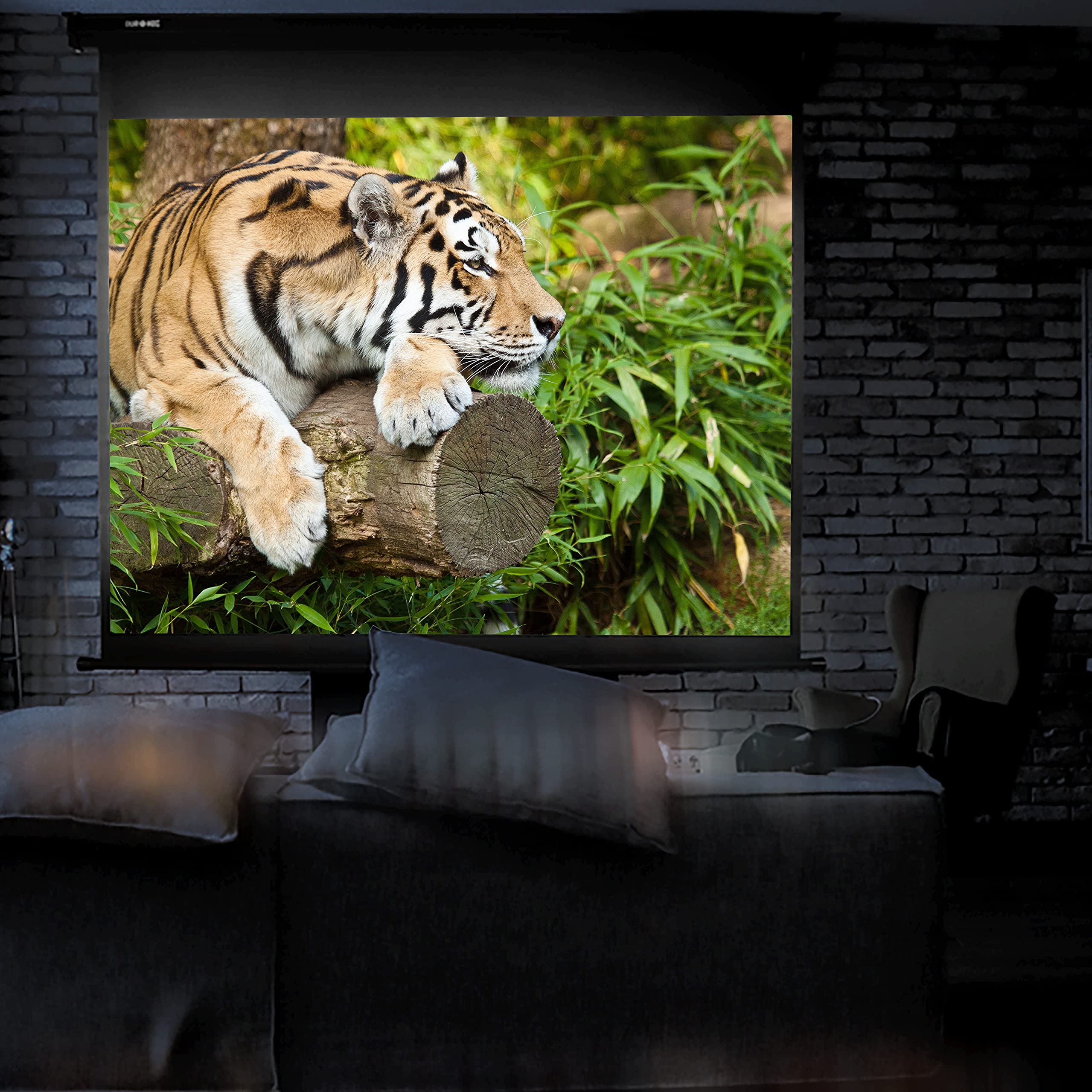 Duronic Projector Screen displaying a tiger resting on a log inside a dark home theater.