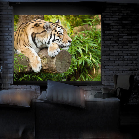 Duronic Projector Screen in a home theater displays a tiger resting on a log.